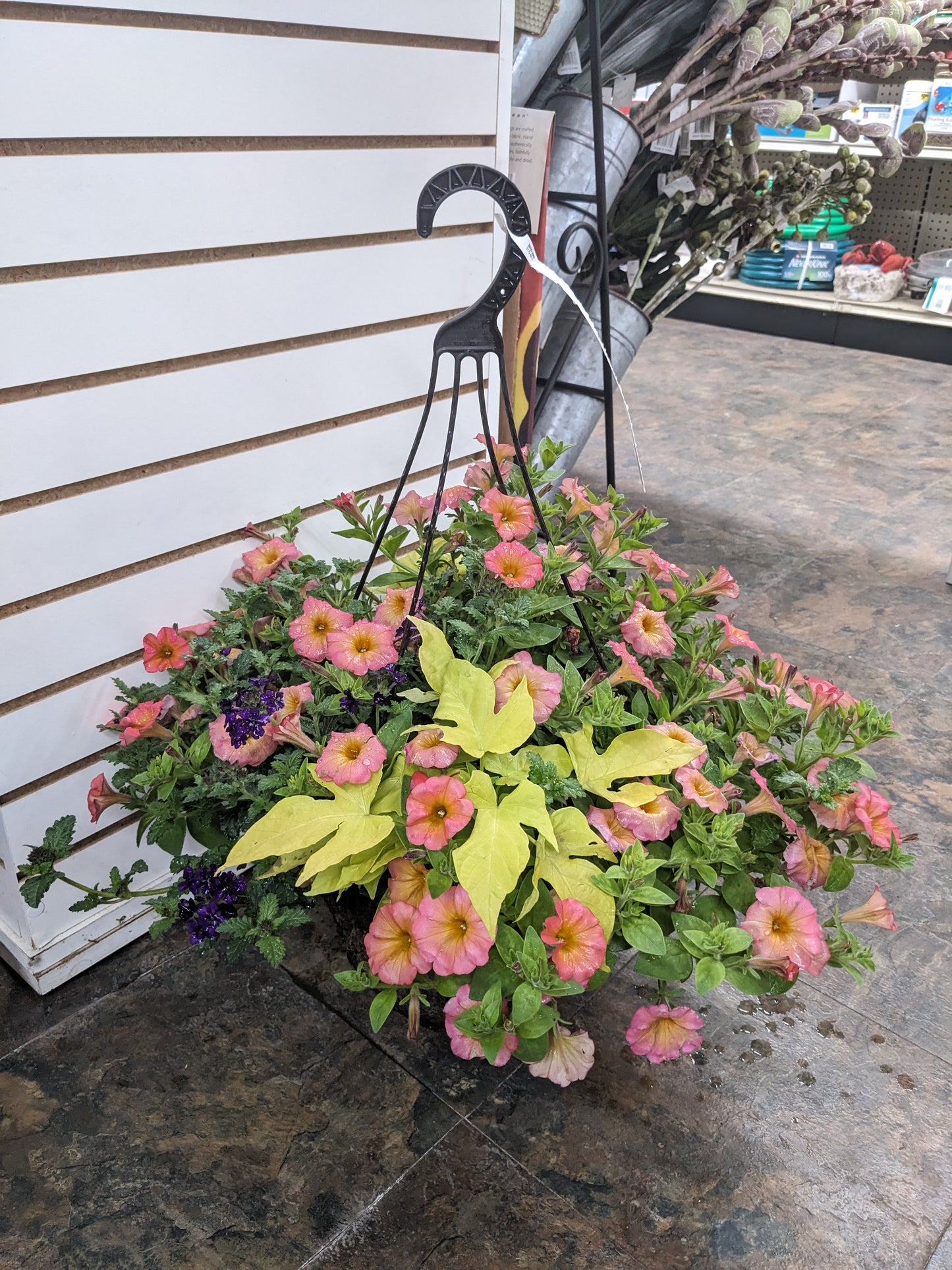 12" Premium Mixed Basket