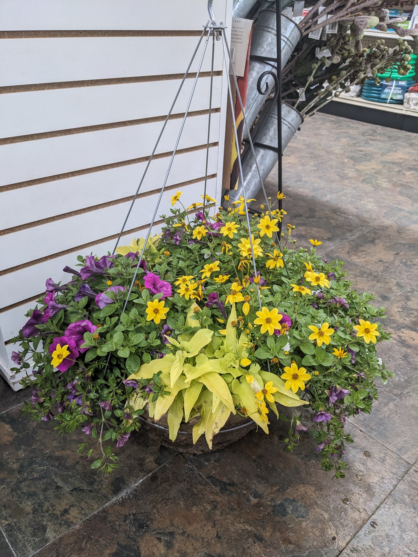 16" Hanging Basket