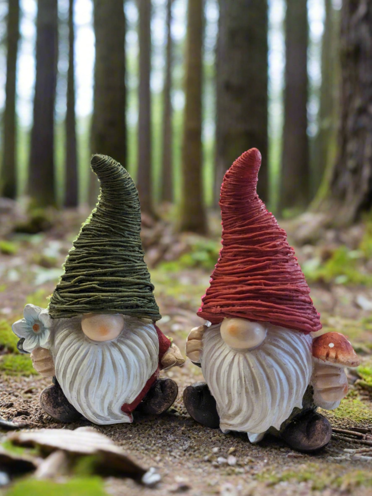 Large Gnome Assorted