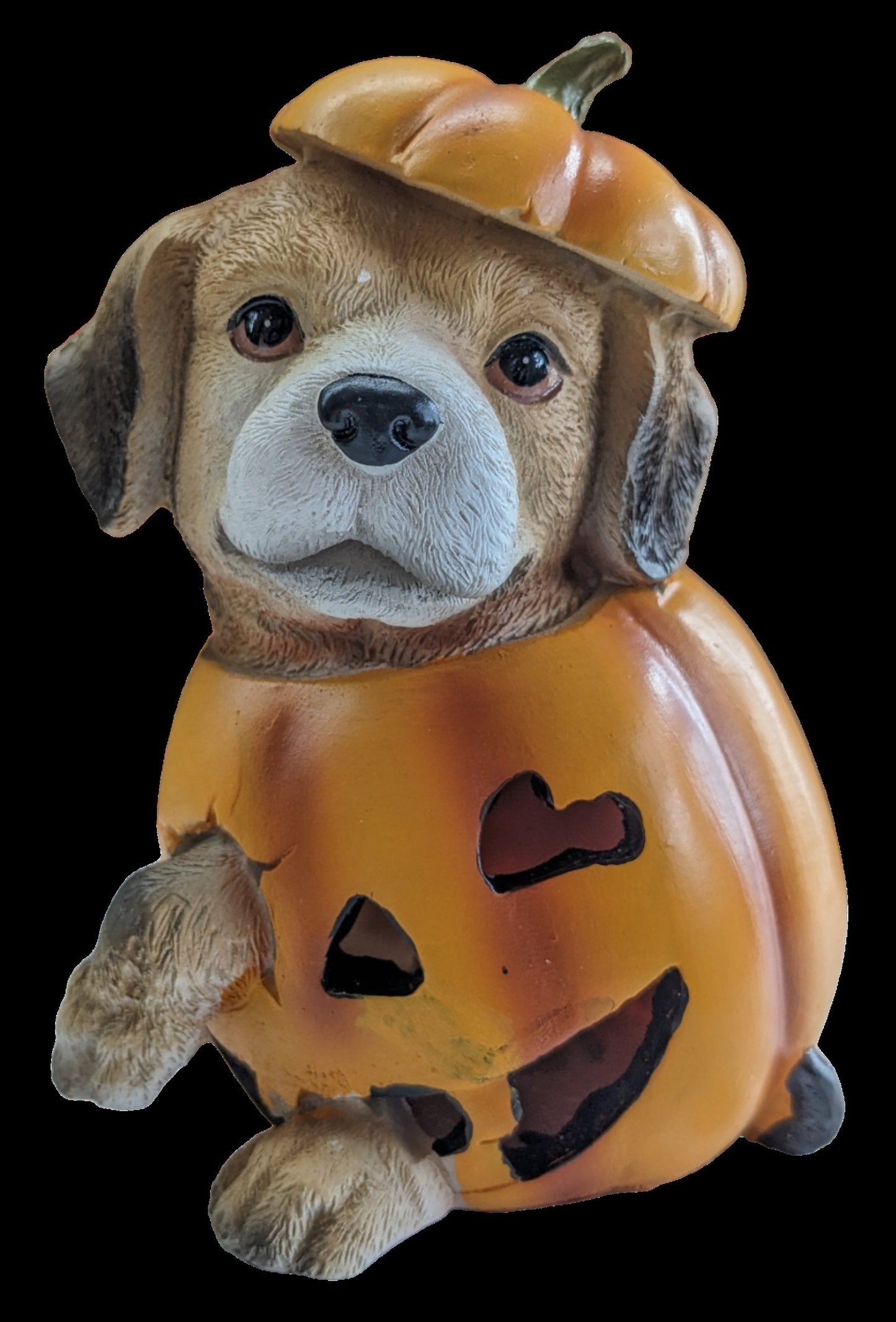 Resin LED Pumpkin Puppy