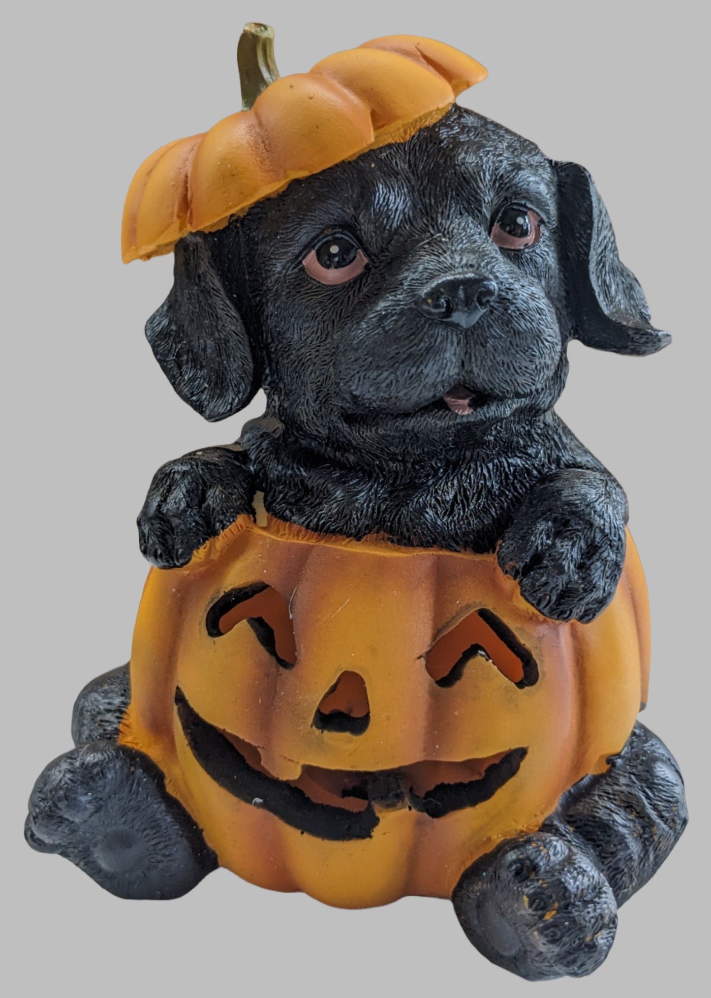 Resin LED Pumpkin Puppy