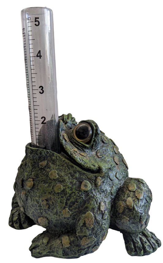 Toad Rain Gauge-Natural or Dark Natural