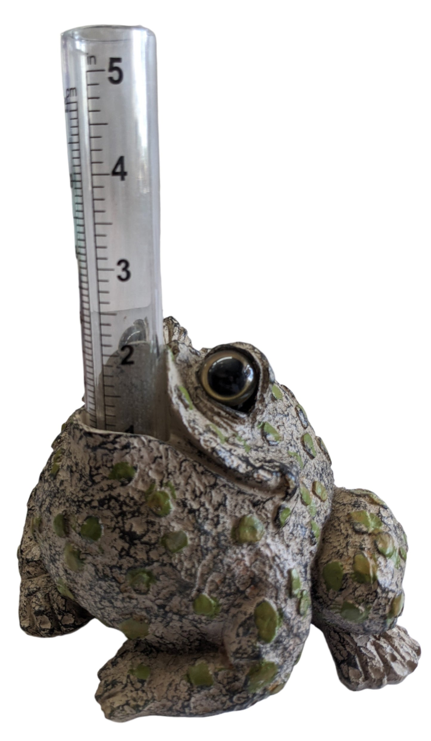 Toad Rain Gauge-Natural or Dark Natural