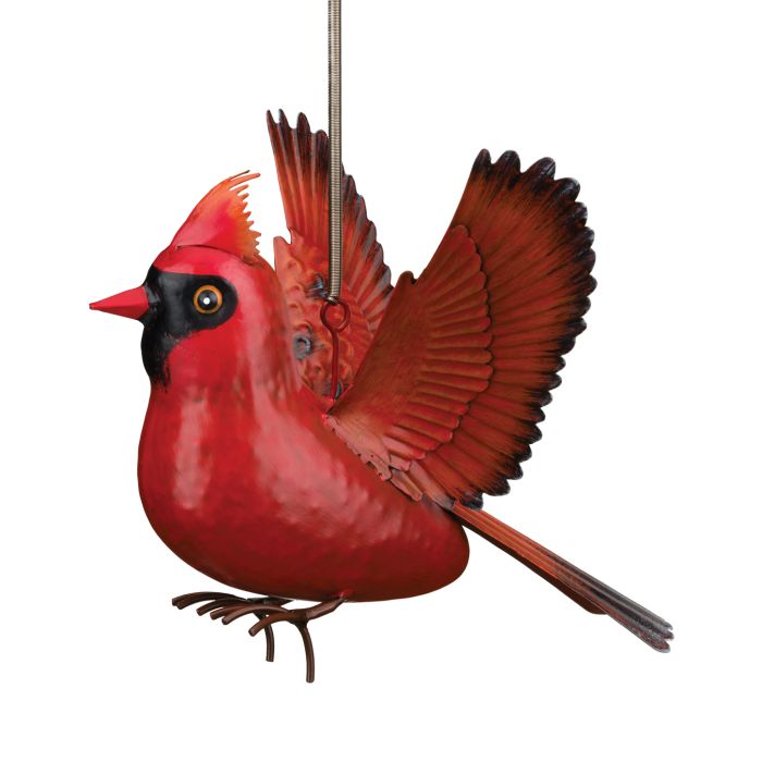 Cardinal Bouncie
