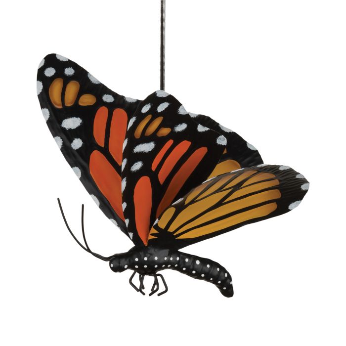 Butterfly Bouncie Monarch