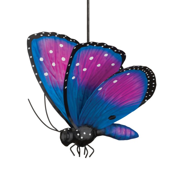 Butterfly Bouncie Papillion