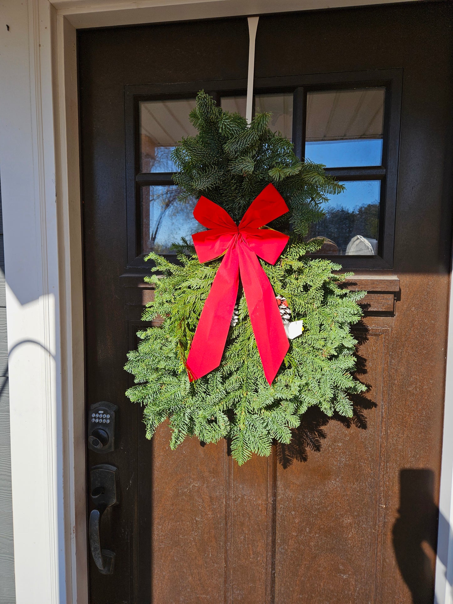 Classic Door Spray 25"