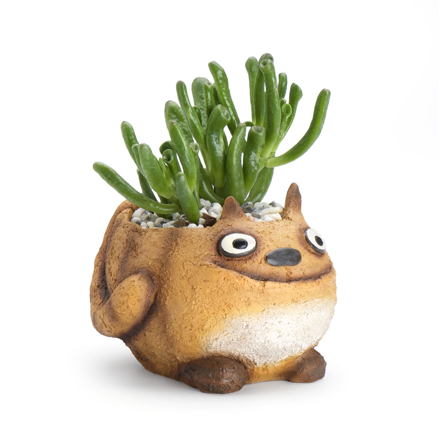 cat house planter Happy Tabby Cat Planter 3.5" – Rock Gardens