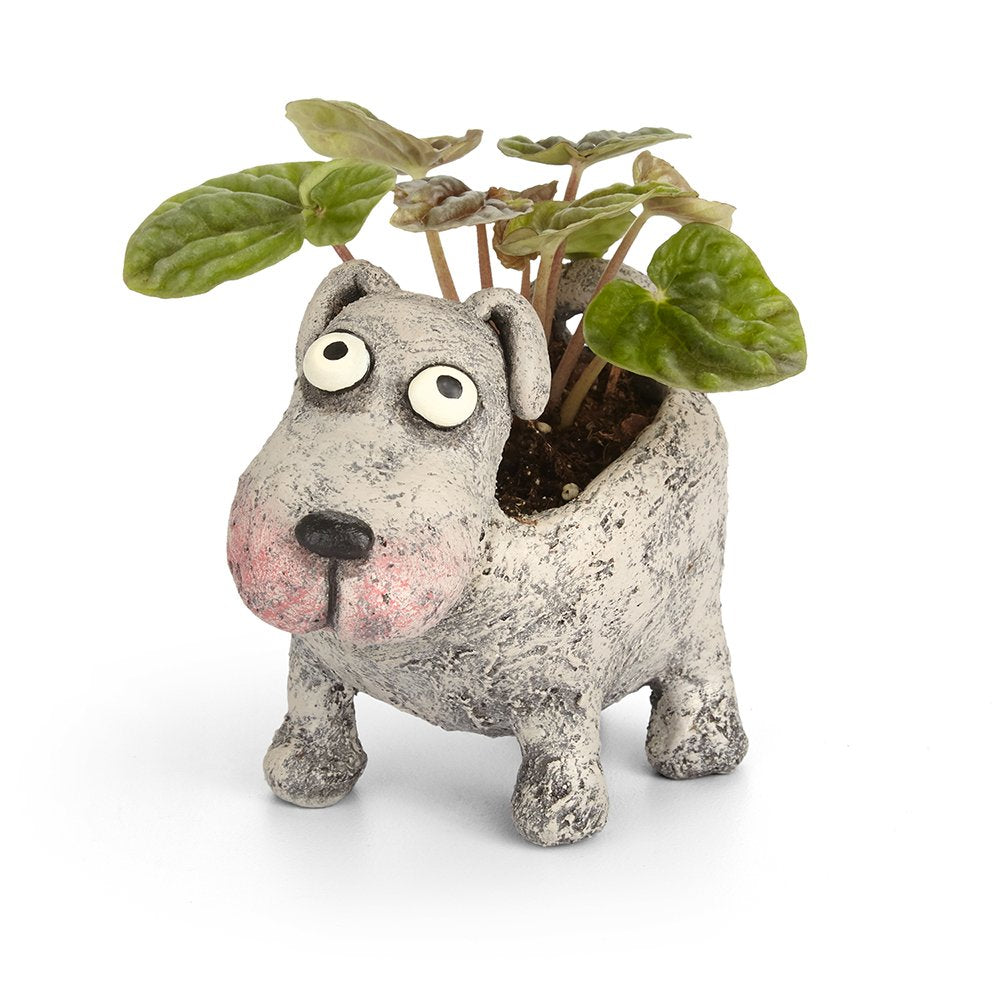 pet for house planter Petunia Dog Planter