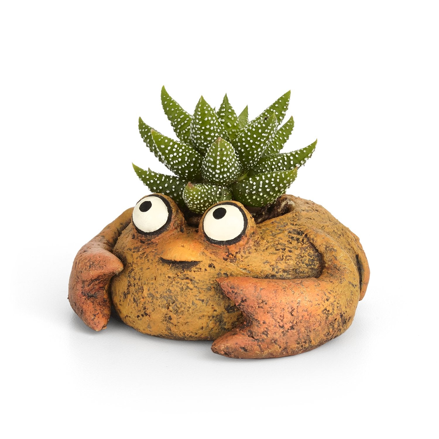 blob house frog planter Clawdia Crab Planter