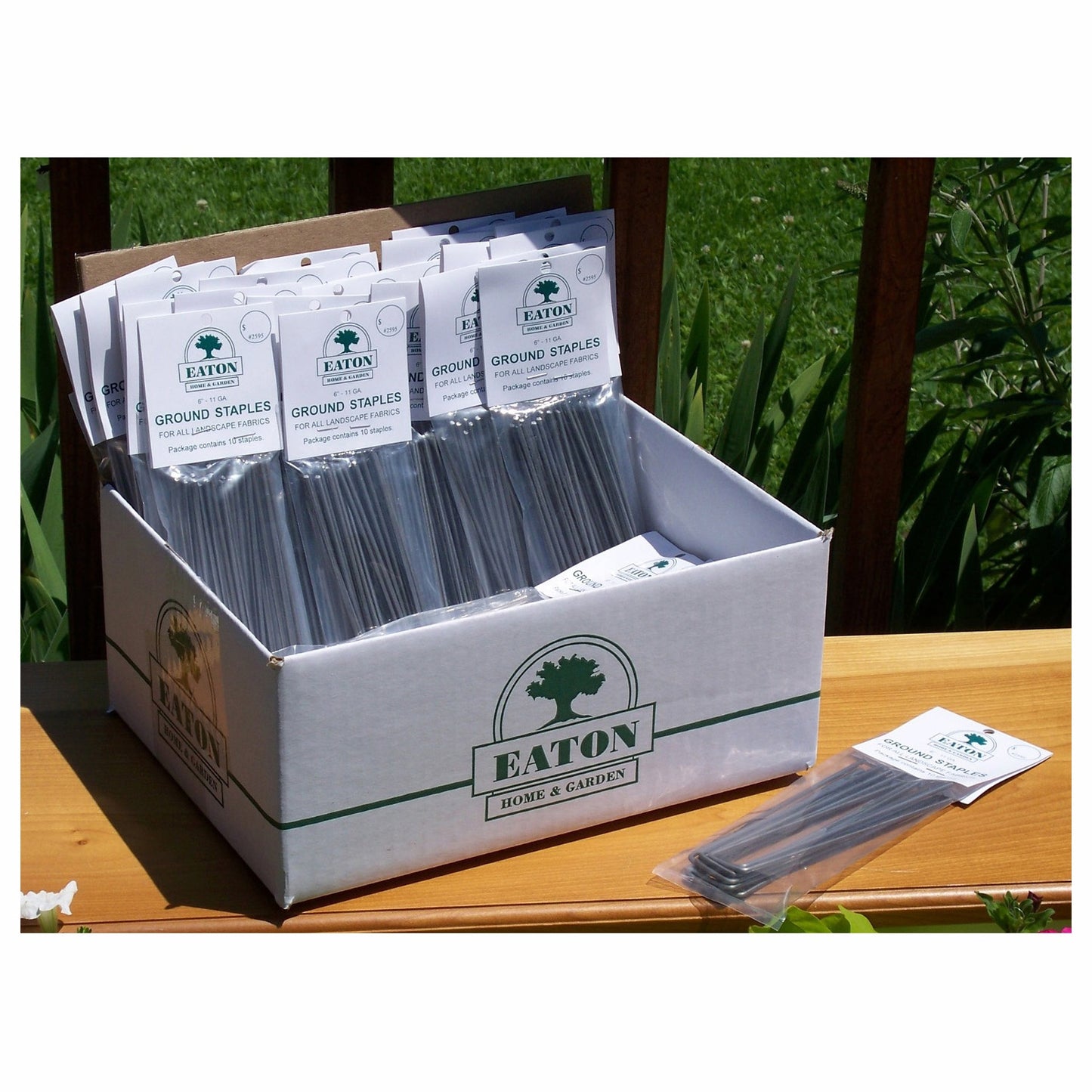 SOD STAPLES 10PK 6IN