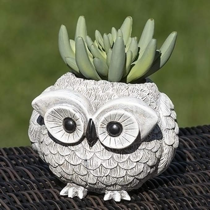 hanging owl planter Mini Owl Pudgy Planter