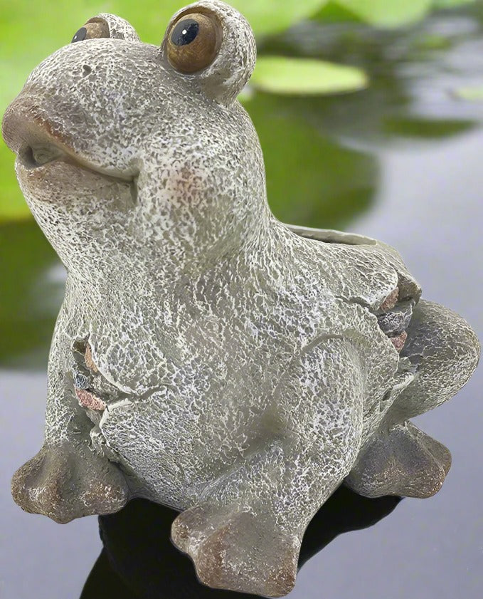 Mini Frog Planter