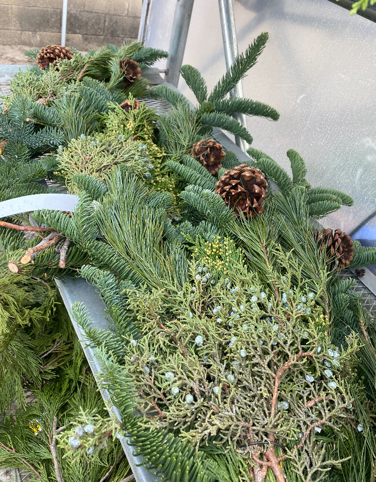 Evergreen Boughs