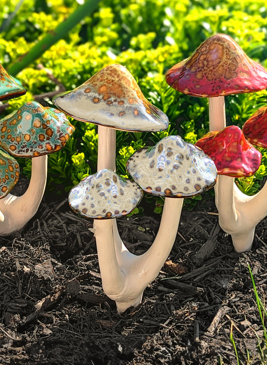 Mushroom Trios - Natural