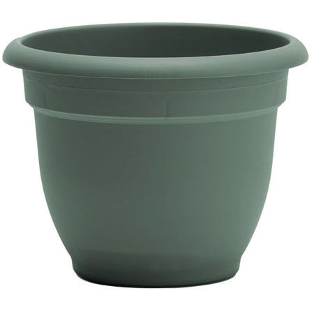 Bloem 6" Ariana Planter Basil