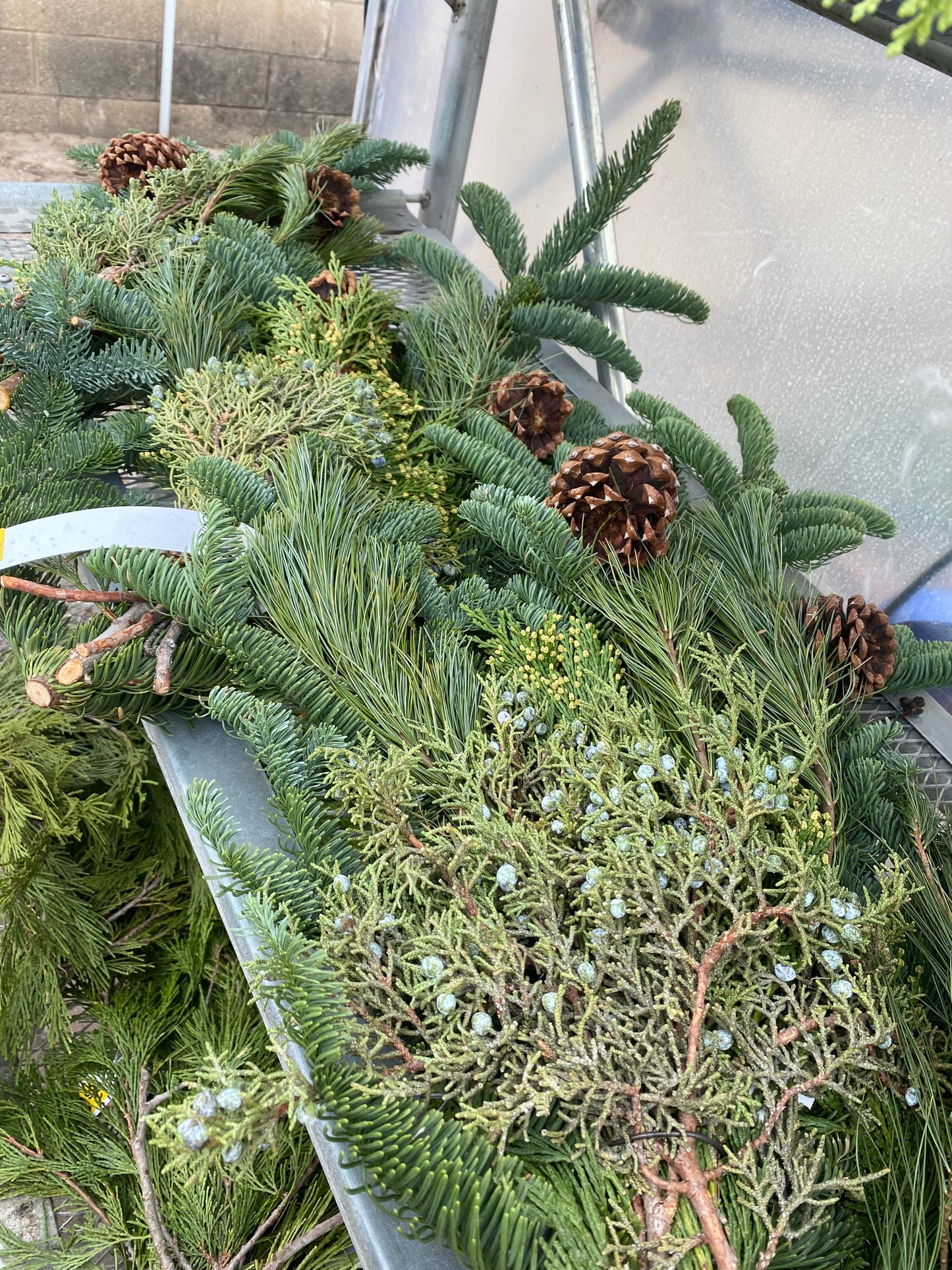 Evergreen Boughs