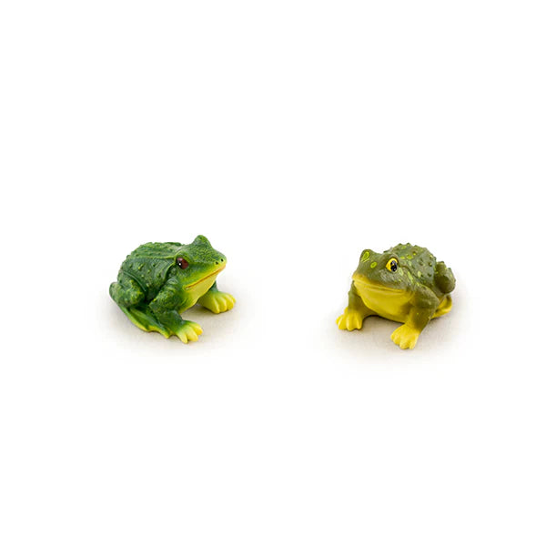 Frog Mini