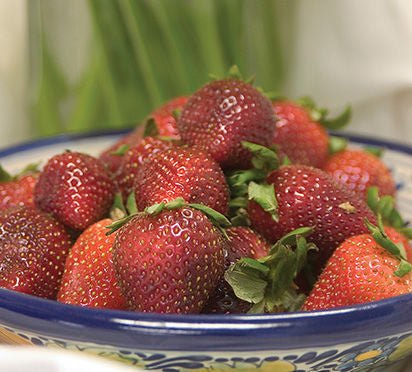 Ft. Laramie Strawberry