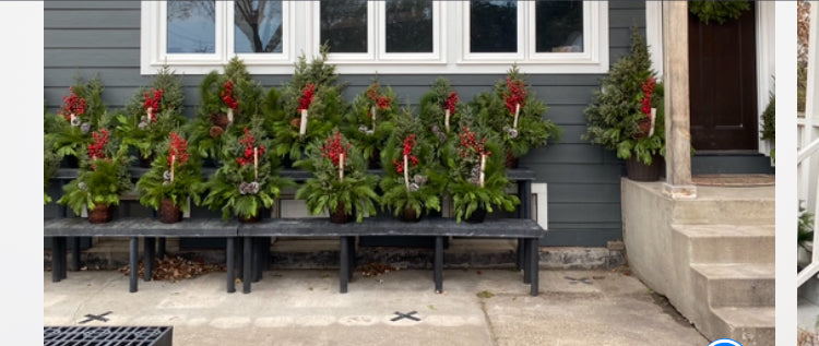 Christmas Pots