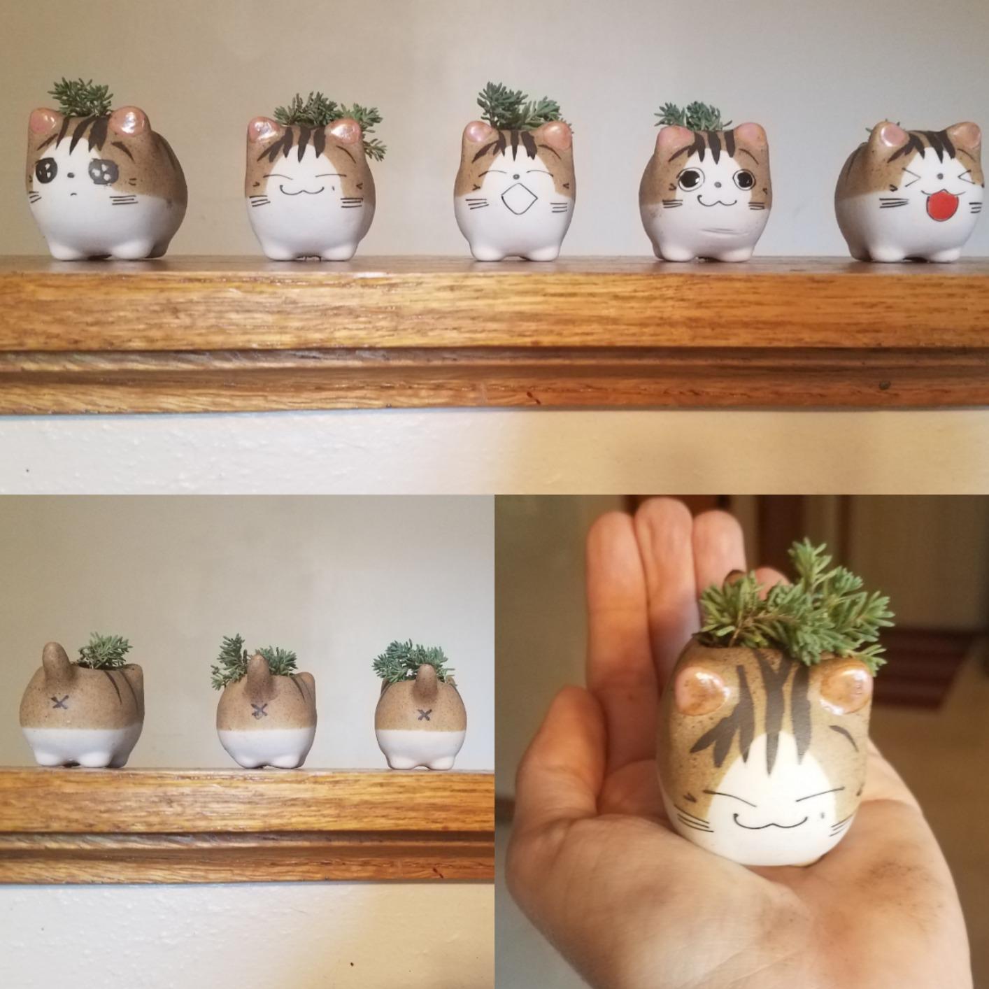 Ceramic Kitten Mini Planter