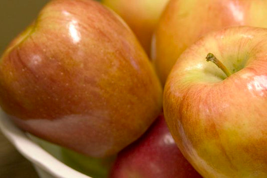Malus - Honeycrisp Apple Tree - 5 Gallon