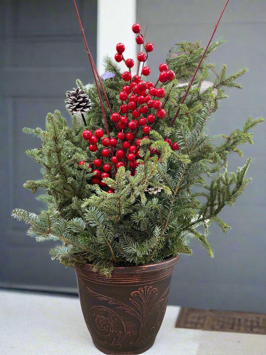 small christmas plant pots Spruce Pot-Deluxe 11" – Rock Gardens