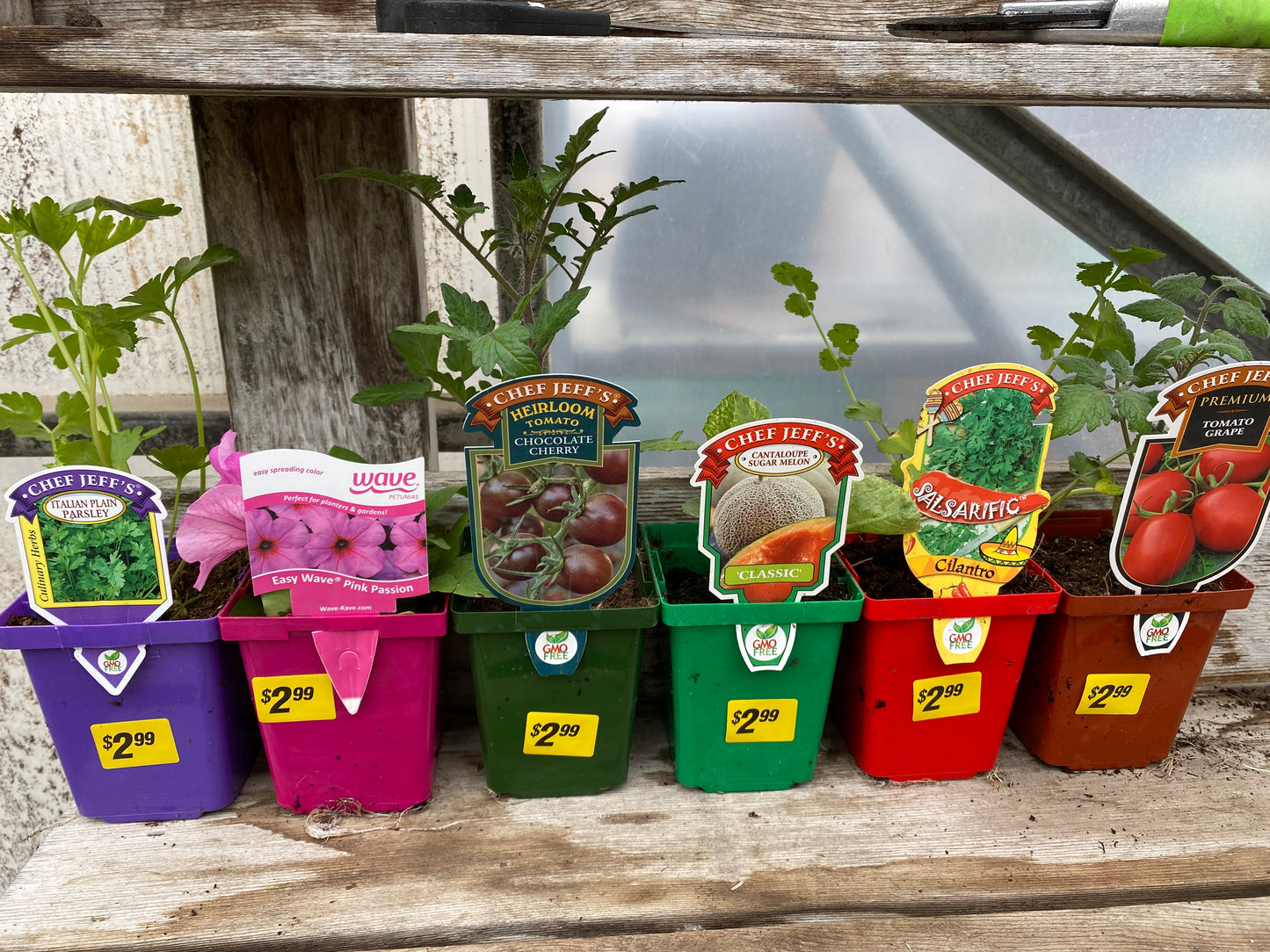 4" Annual Square Pots