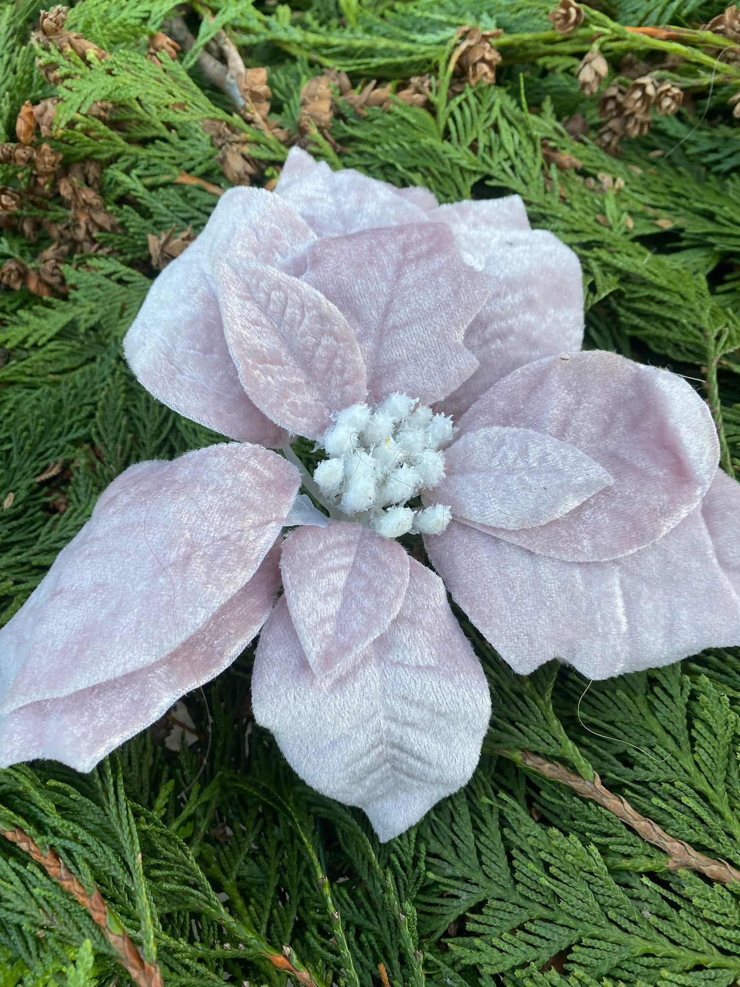 Pink Poinsettia pick