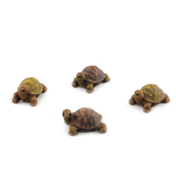 Mini Box Turtle