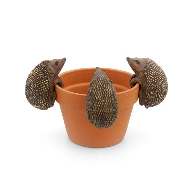 hedgehog plant pot hanger Hedgehog Pot Hanger Large – Rock Gardens