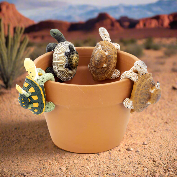 plant pot with hanger Double Turtle Pot Hanger Medium – Rock Gardens
