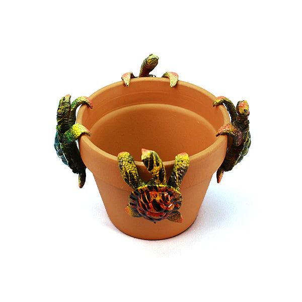 Glossy Multicolor Sea Turtle