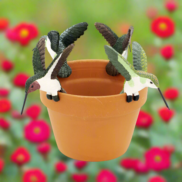 hummingbird planter pot Hummingbird Pot Hanger Medium