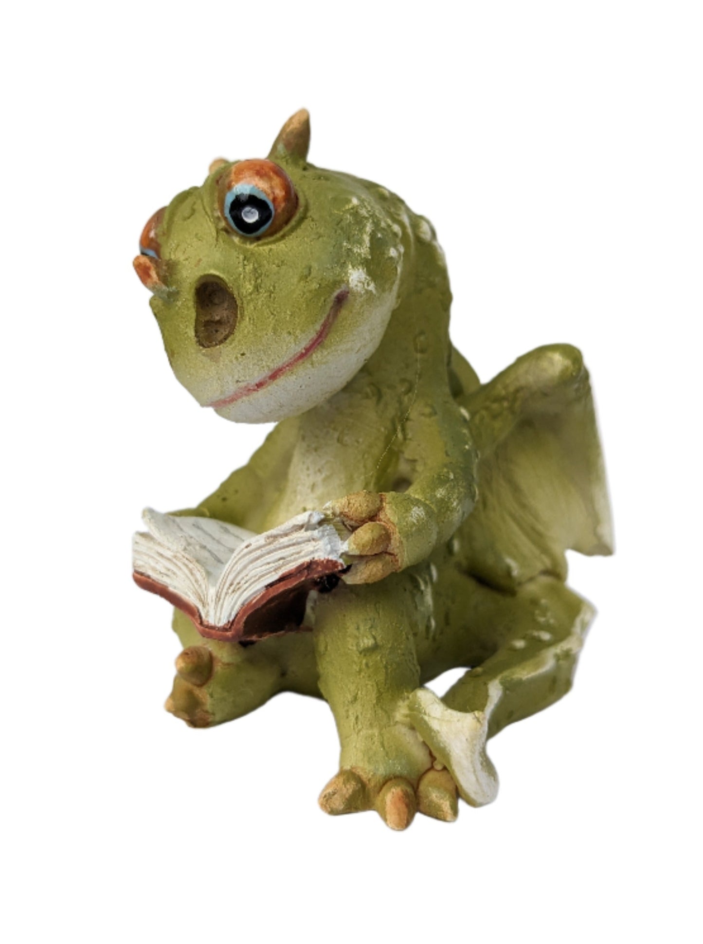 Dragon Reading Book