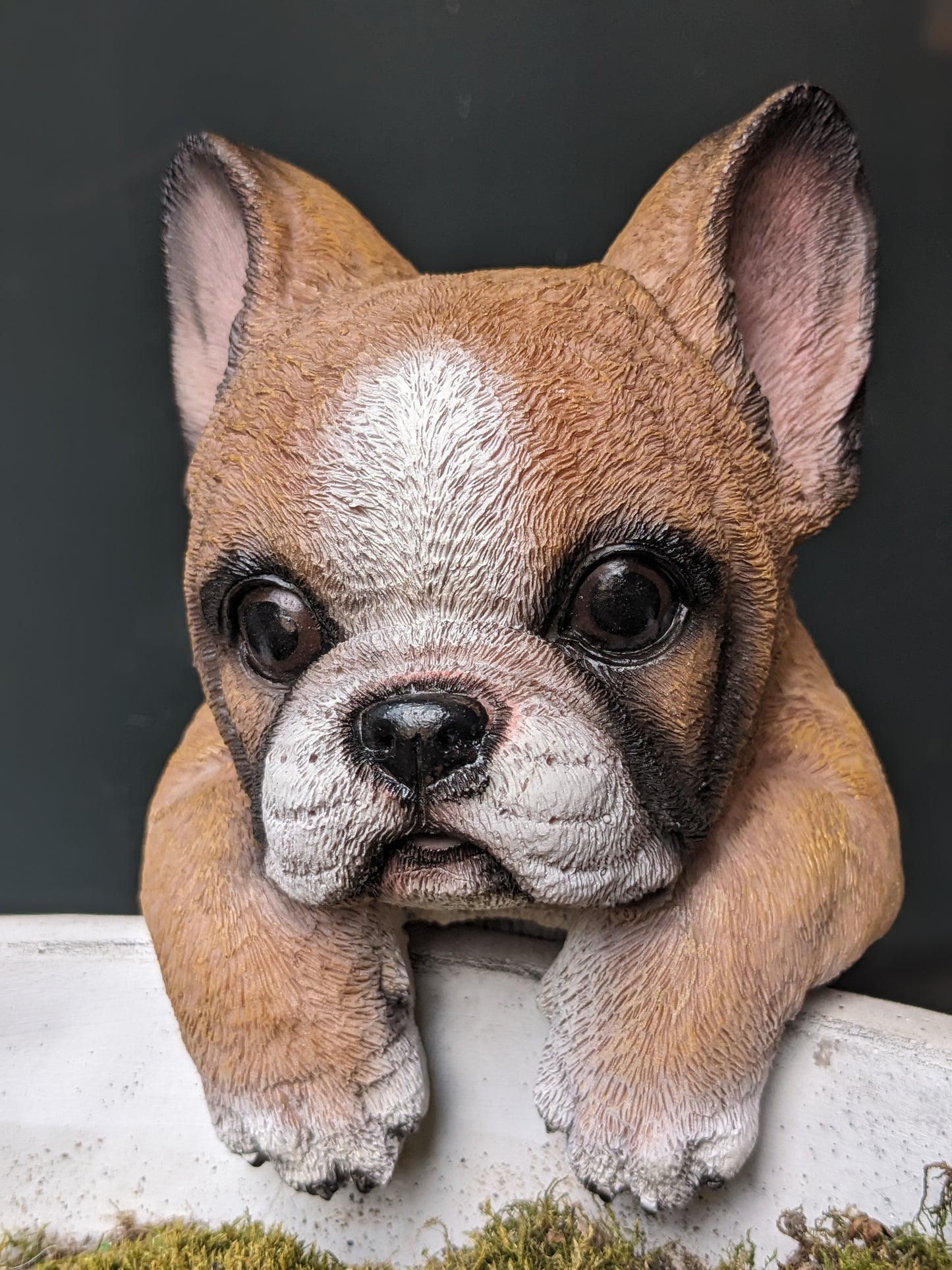 Puppy Pot Hanger