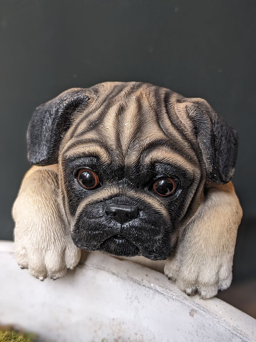 Puppy Pot Hanger