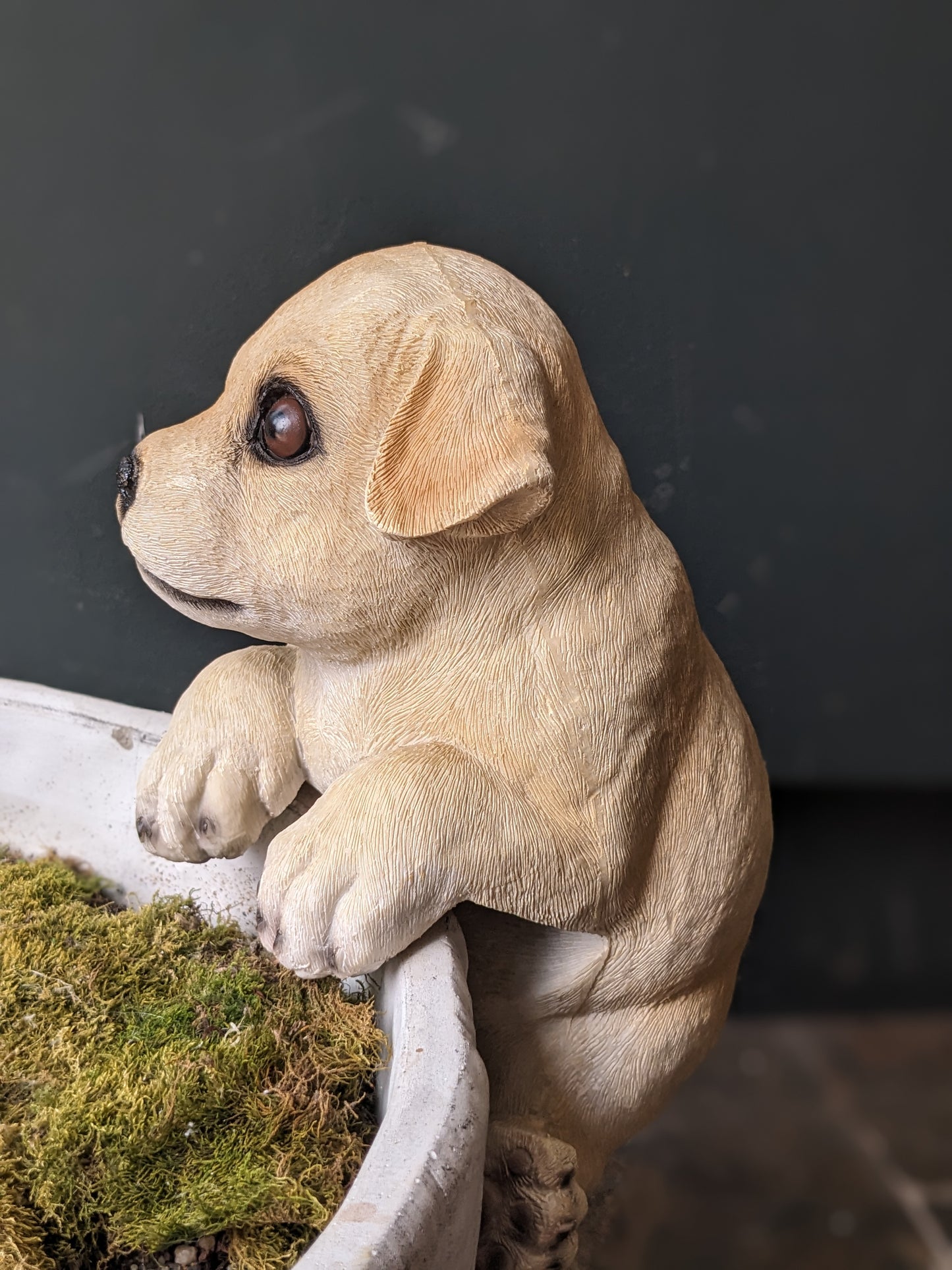 Puppy Pot Hanger
