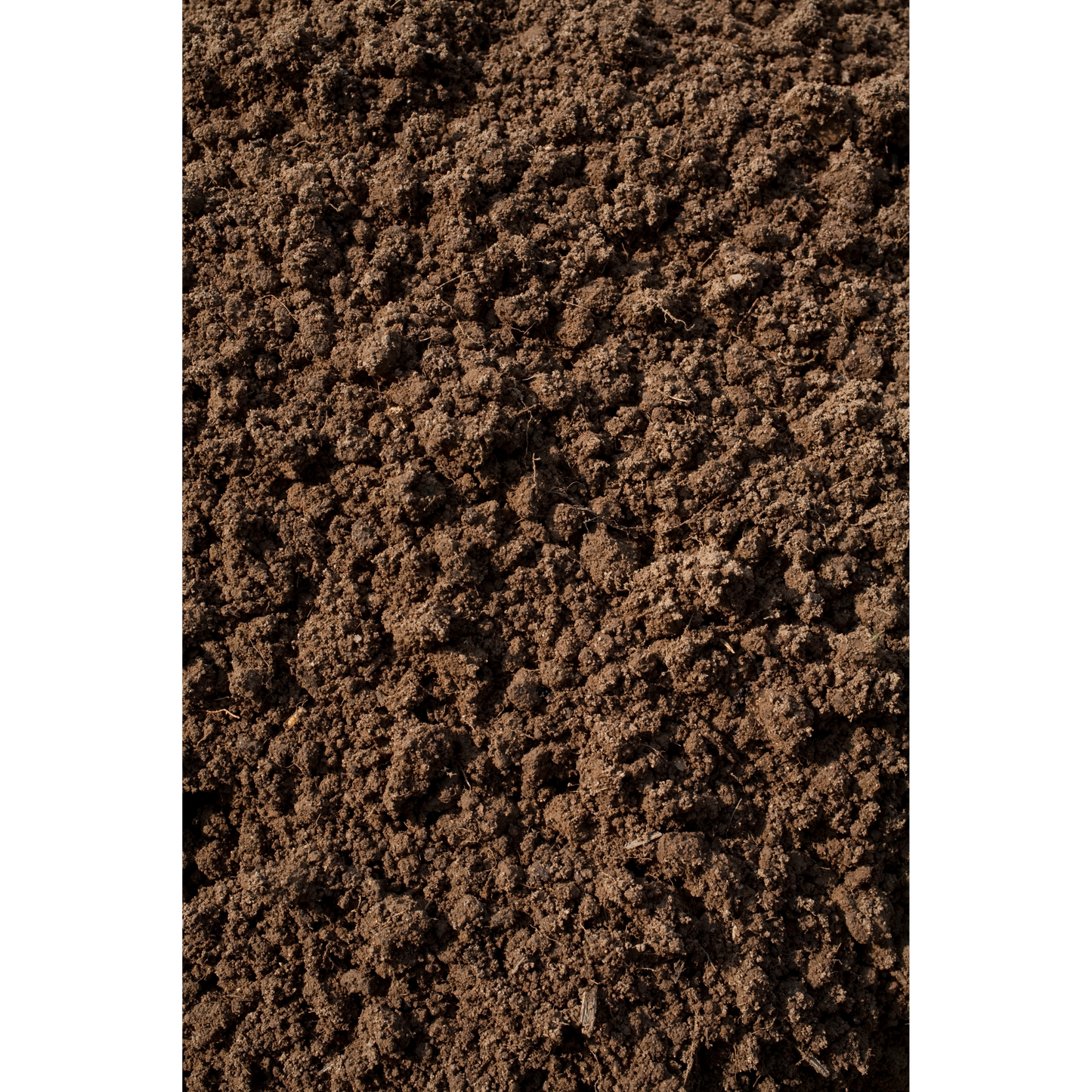 Black Dirt Pulverized