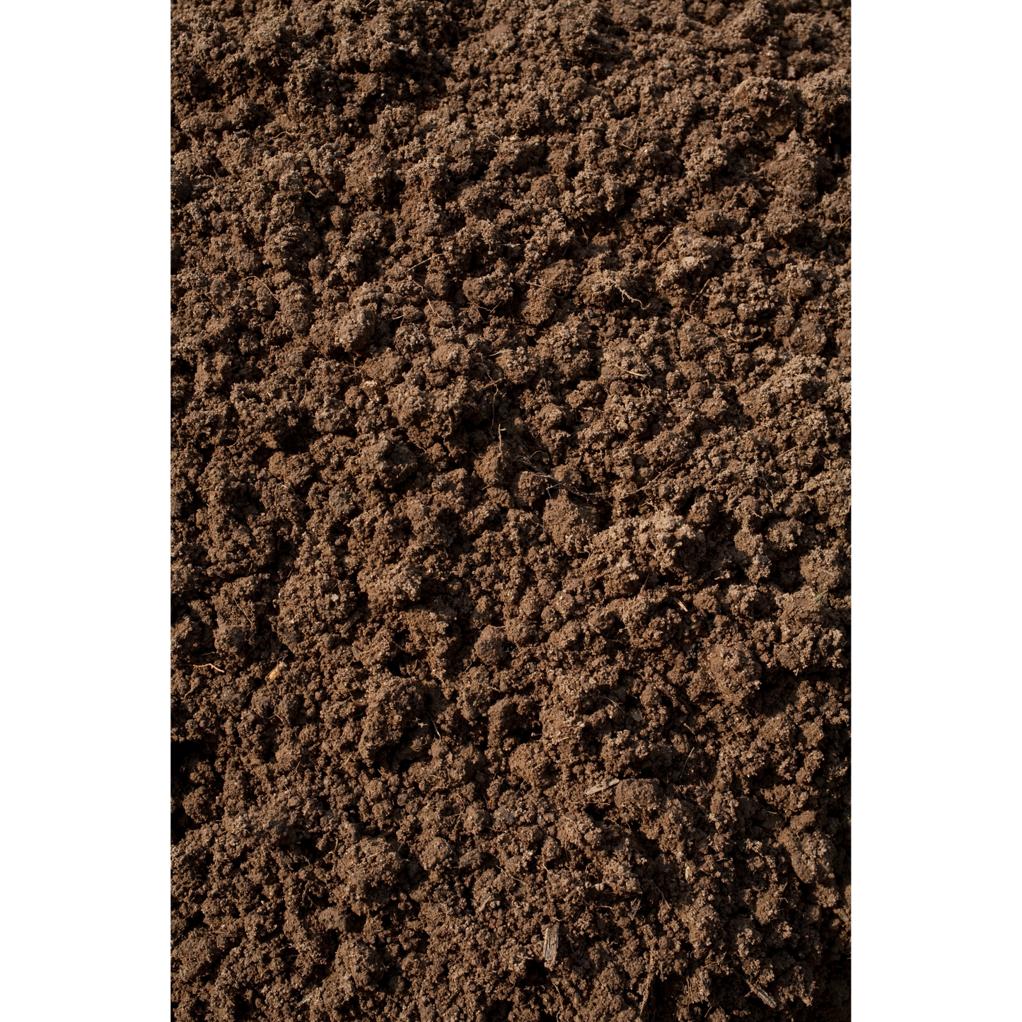 Black Dirt | Pulverized