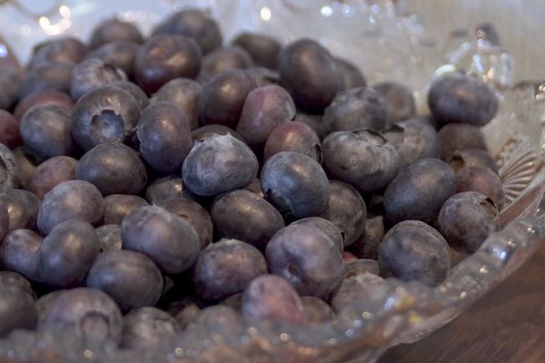Northcountry Blueberry