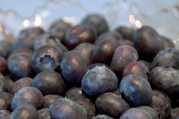 Superior Blueberry - 8 Cell