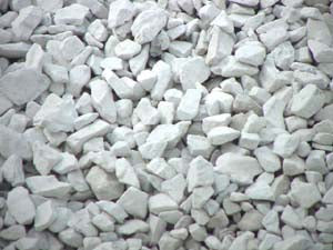 Fort Dodge White 1 1/2"