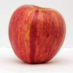 KinderKrisp Apple-5 gal