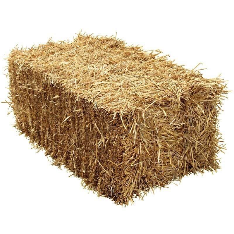 Straw Bale-3'L x 2'H