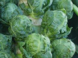 Brussels Sprouts - 4 Packs