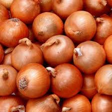 Onion- 4 Packs