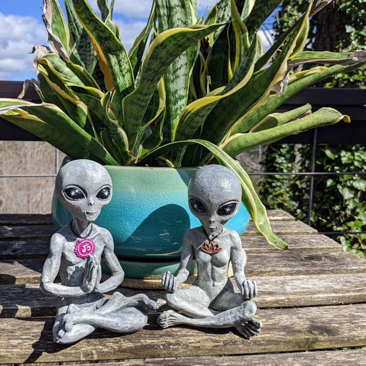 Alien Invasion "Zen and Yoga”