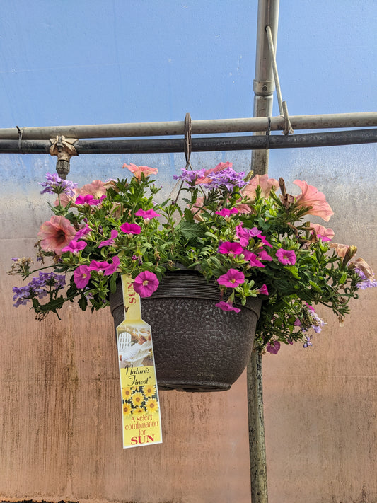 Bert R Hybels hanging basket – Rock Gardens