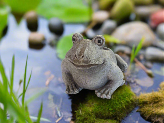 Mini Frog Pudgy Planter